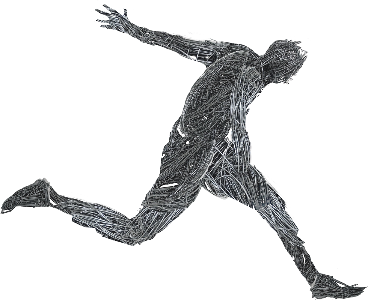 Saccuso Sport Kunst Design